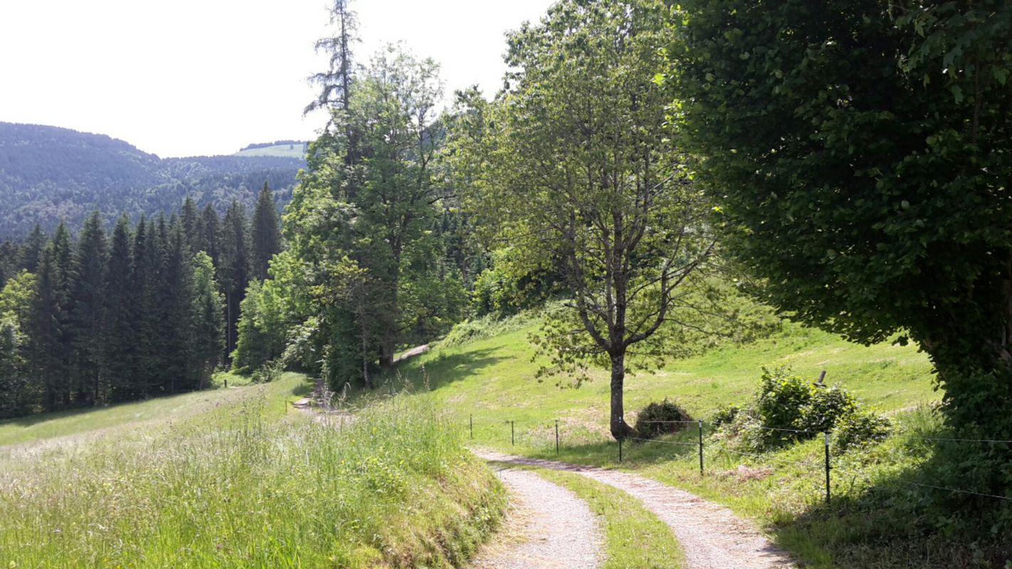 Miesbach Tegernsee Miesbach