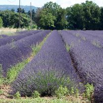 2016 Ride Day 98 - Montélimar to Vesc