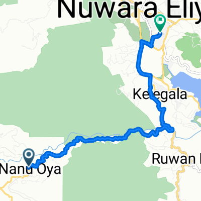 Nana Oya - Nuwara Eliya