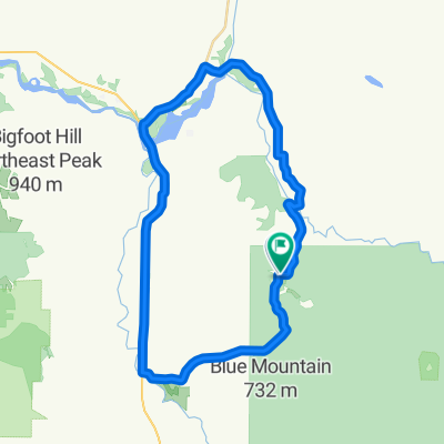 Everybody Store Route