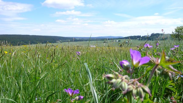 Photo 2: Lütt