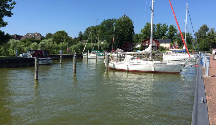 Photo 2 de l’itinéraire Bikemap « Lange Ausfahrt durch Zingst »