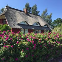Lange Ausfahrt durch Zingst