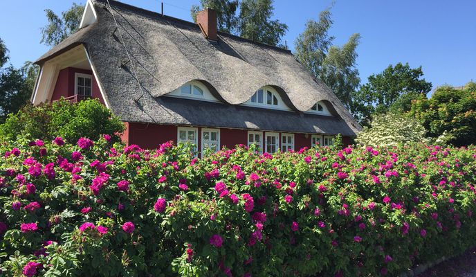 Photo 1 de l’itinéraire Bikemap « Lange Ausfahrt durch Zingst »