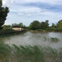 Radtour zum Neusiedlersee