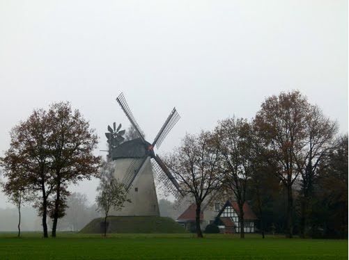 Große Runde Moor und Mühlen