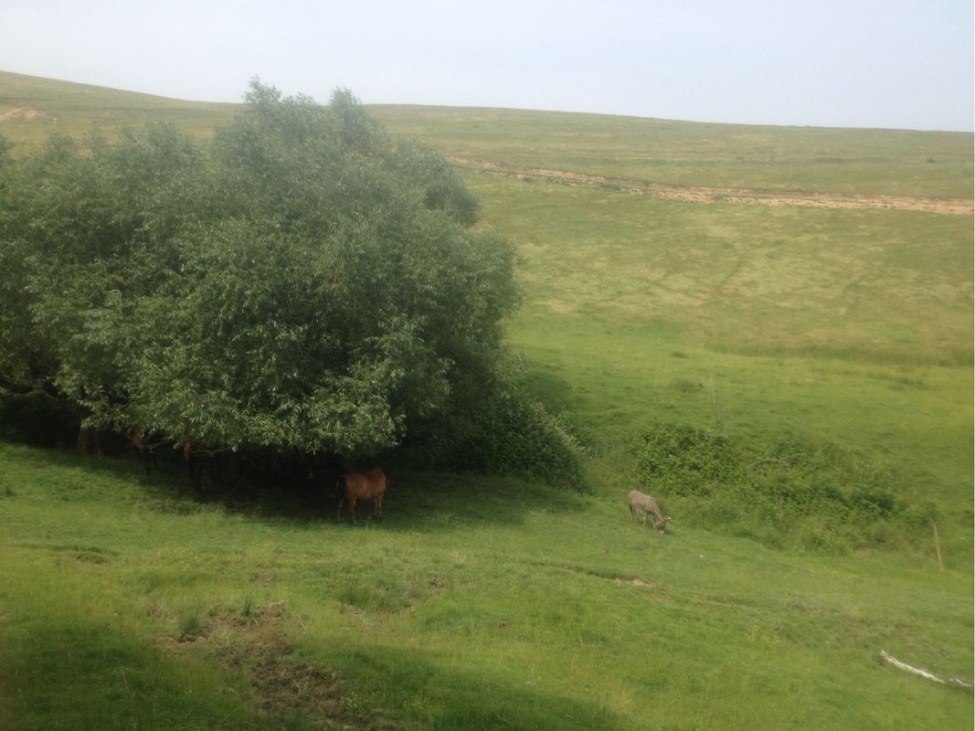 ride through Sebeş