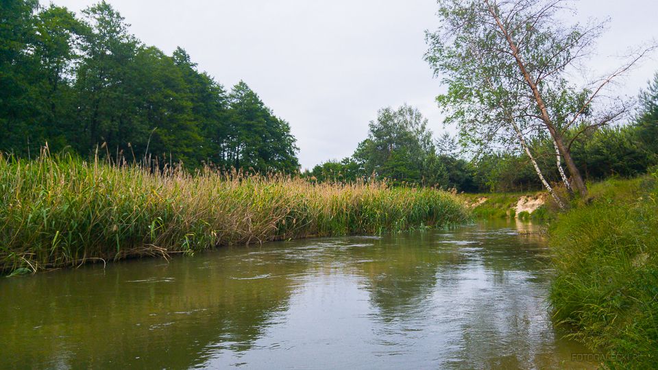 Nad Białą Przemszę