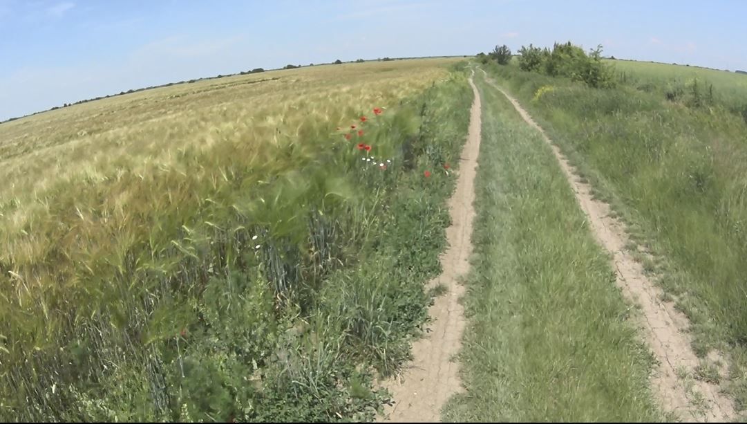 inițiere în XC prin împrejurimile Bucureștiului.