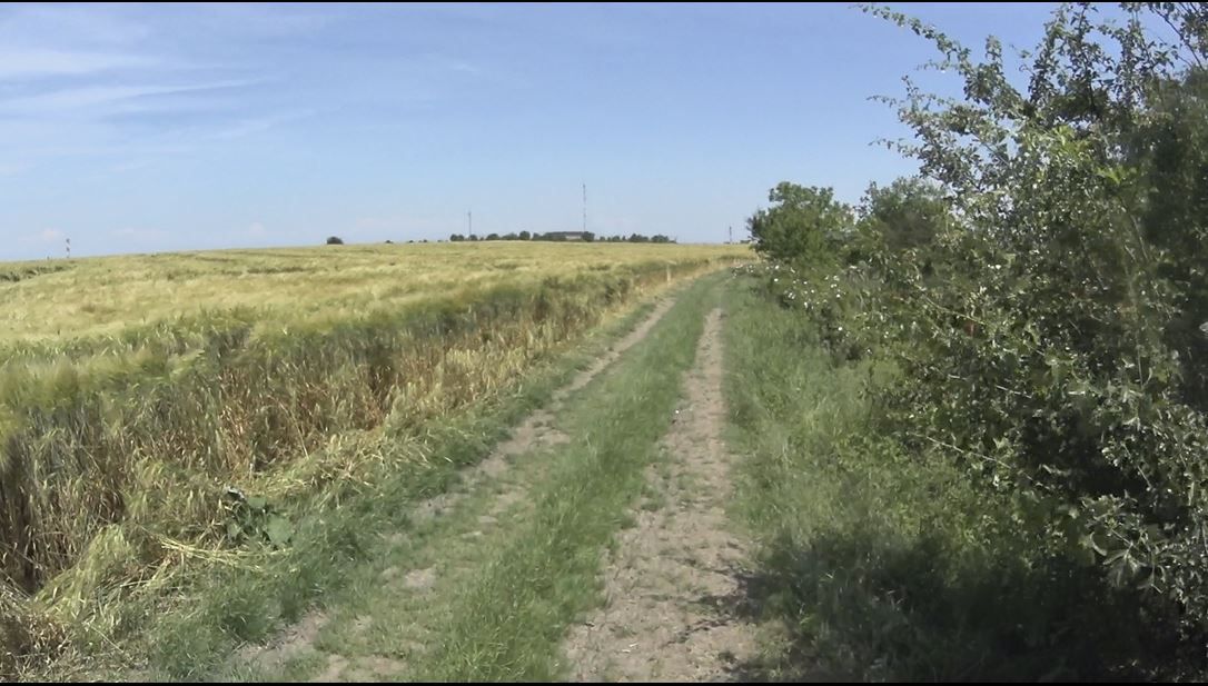 inițiere în XC prin împrejurimile Bucureștiului.