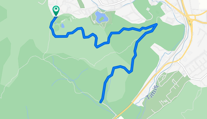 Drum Forestier Noua - Timis (Crucur) - RUN