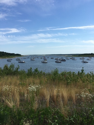Highlight 1 along the Bikemap route "Saylorville Lake Ride"