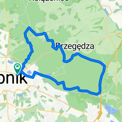 Rybnik - Kamień - Przegędza - Gotartowice - Rybnik