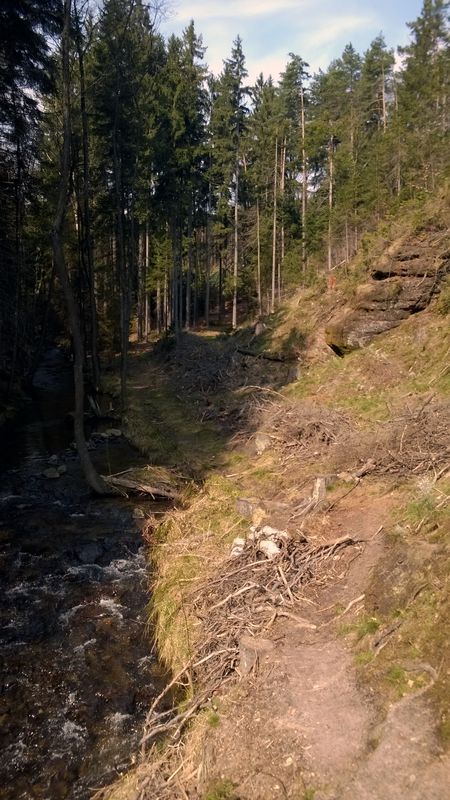 Č.Lípa-Cvikov-přehrada Naděje a zpět