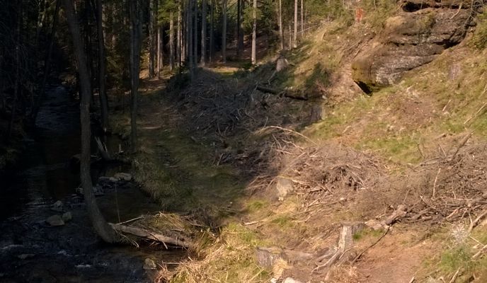 Photo 1 of the Bikemap route "Č.Lípa-Cvikov-přehrada Naděje a zpět"
