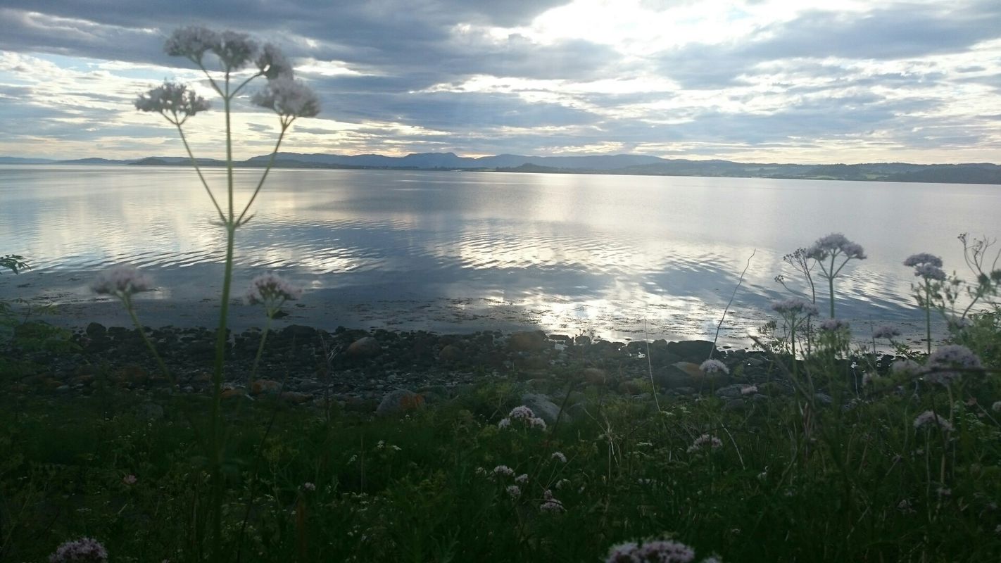 Sykkeltur til Steivikholmen 3 timer