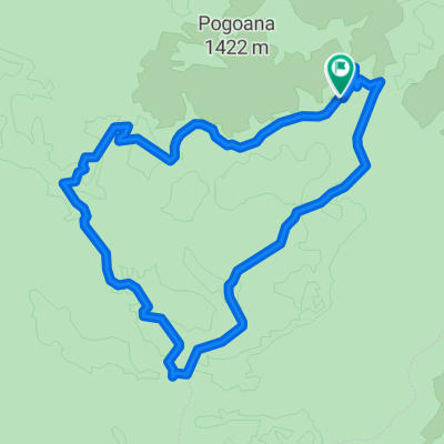 Padina Rudarilor