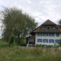 Lange runde Trimstein