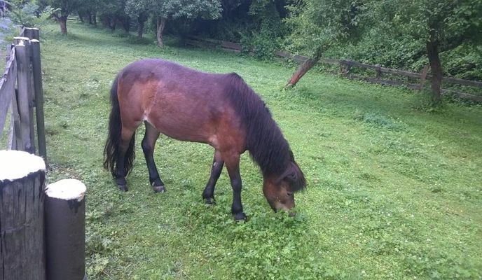 Foto 1 der Bikemap-Route "KB-Bad Shandau und curyk" Foto 1 der Bikemap-Route "KB-Bad Shandau und curyk"