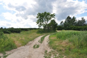 Highlight 31 along the Bikemap route "Jastrzębi szlak- główna trasa"