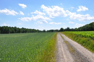 Highlight 15 along the Bikemap route "Jastrzębi szlak- główna trasa"