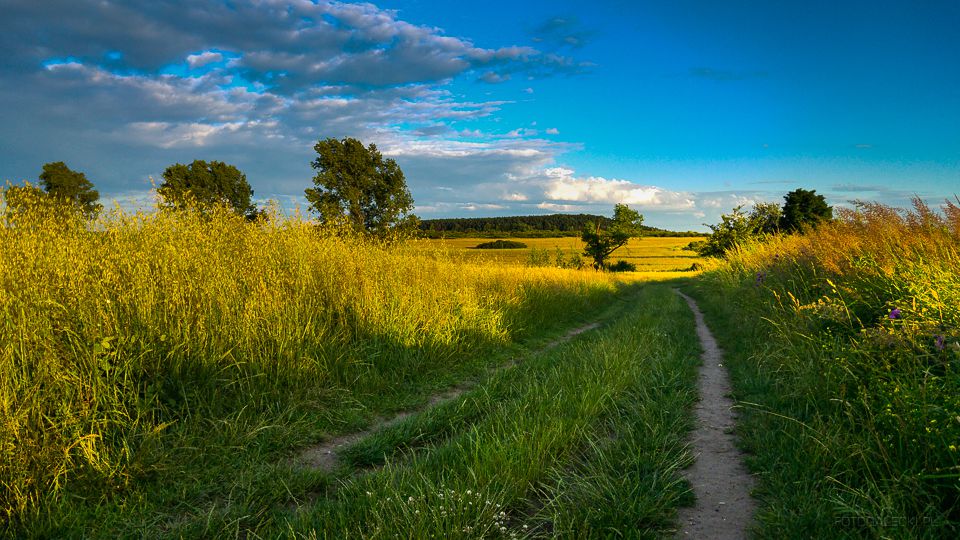 Góra Grodzisko Jaworzno