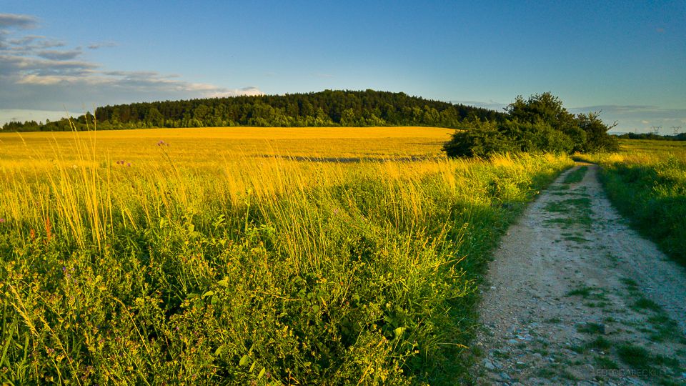 Góra Grodzisko Jaworzno