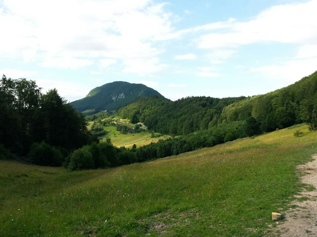 Holbav - 7 iulie 2016