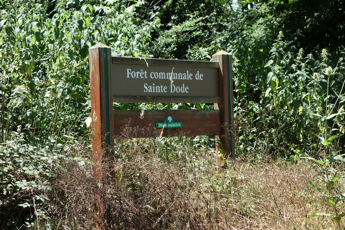 2016 Ride Day 116 - Auch to Tarbes