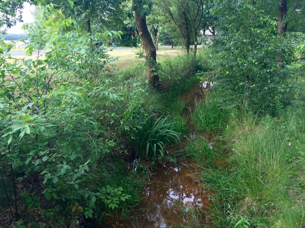 Teiche, Heide, Wälder und noch mehr Teiche; Variante II