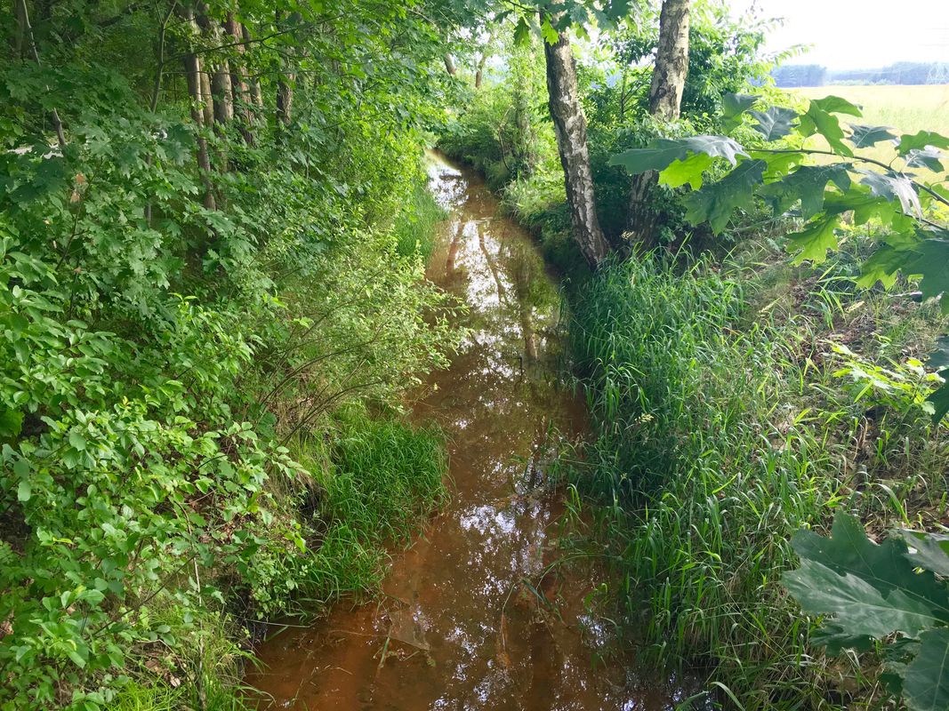 Teiche, Heide, Wälder und noch mehr Teiche; Variante II