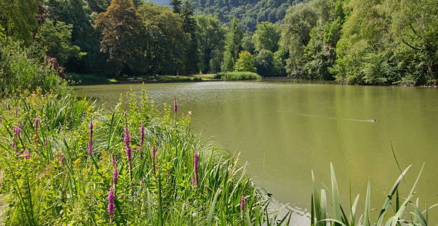 Igis - Rundtour Churer Rheintal und Bündner Herrschaft
