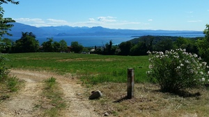 Highlight 2 along the Bikemap route "ciclabile Valtenesi"