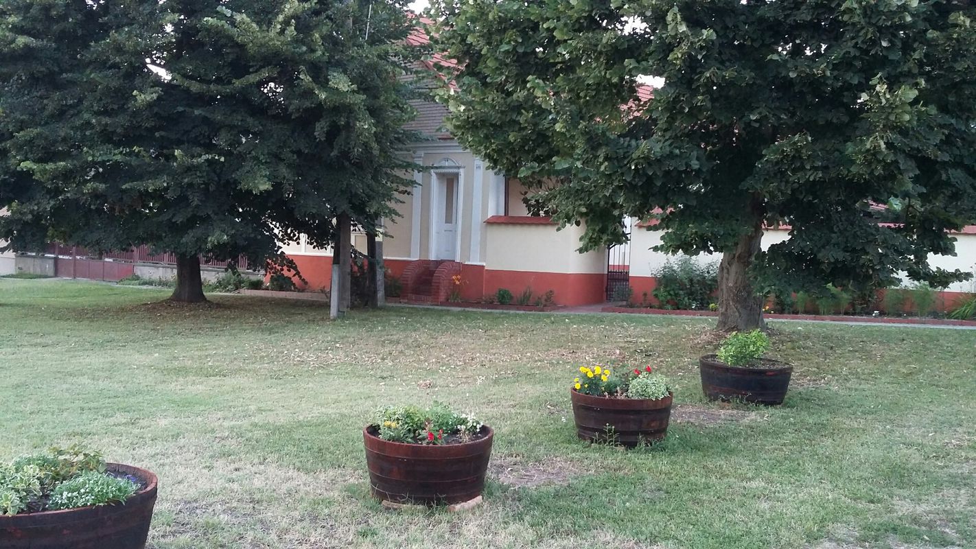Györkönyi Pincehegy - Nagydorog - Pusztahencse - Györköny körút