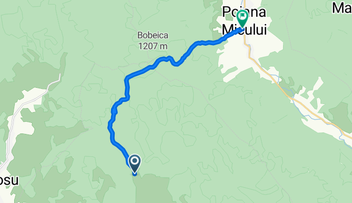 Molid-Poiana Micului