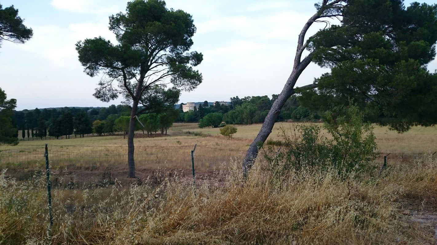 Stevenstour, Tarascon - Arles