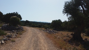 Hebe Bild 12 entlang der Bikemap-Route "Brief bike tour from Tovarnele to Potocnica" hervor Hebe Bild 12 entlang der Bikemap-Route "Brief bike tour from Tovarnele to Potocnica" hervor