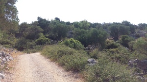 Hebe Bild 9 entlang der Bikemap-Route "Brief bike tour from Tovarnele to Potocnica" hervor Hebe Bild 9 entlang der Bikemap-Route "Brief bike tour from Tovarnele to Potocnica" hervor