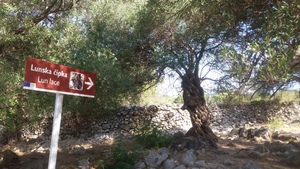 Hebe Bild 13 entlang der Bikemap-Route "Brief bike tour from Tovarnele to Potocnica" hervor Hebe Bild 13 entlang der Bikemap-Route "Brief bike tour from Tovarnele to Potocnica" hervor