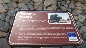 Hebe Bild 5 entlang der Bikemap-Route "Brief bike tour from Tovarnele to Potocnica" hervor Hebe Bild 5 entlang der Bikemap-Route "Brief bike tour from Tovarnele to Potocnica" hervor