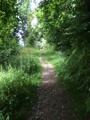 Hebe Bild 1 entlang der Bikemap-Route "Radrunde um Sankt Michael" hervor