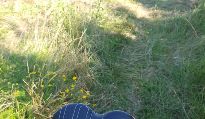 Photo 2 de l’itinéraire Bikemap « padurea bejan...almasu sec...cozia..releu...mina calugareni..fischers..bere:) »