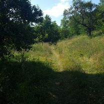 padurea bejan...almasu sec...cozia..releu...mina calugareni..fischers..bere:)