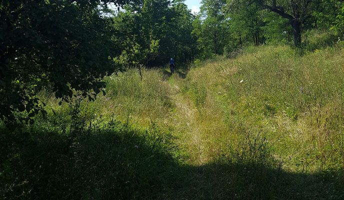 Photo 1 de l’itinéraire Bikemap « padurea bejan...almasu sec...cozia..releu...mina calugareni..fischers..bere:) »