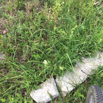 Lengthy bike tour from Baka to 布拉迪斯拉发