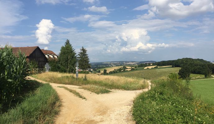 Foto 2 der Bikemap-Route "Kleine Runde über Winzerer Höhen, Mariaort und an der Donau"
