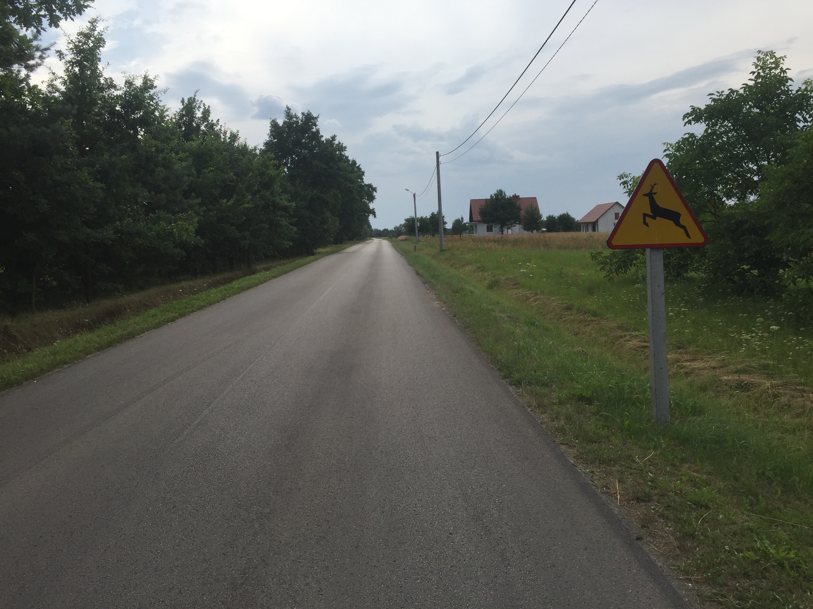 Tarnobrzeg - Mielec