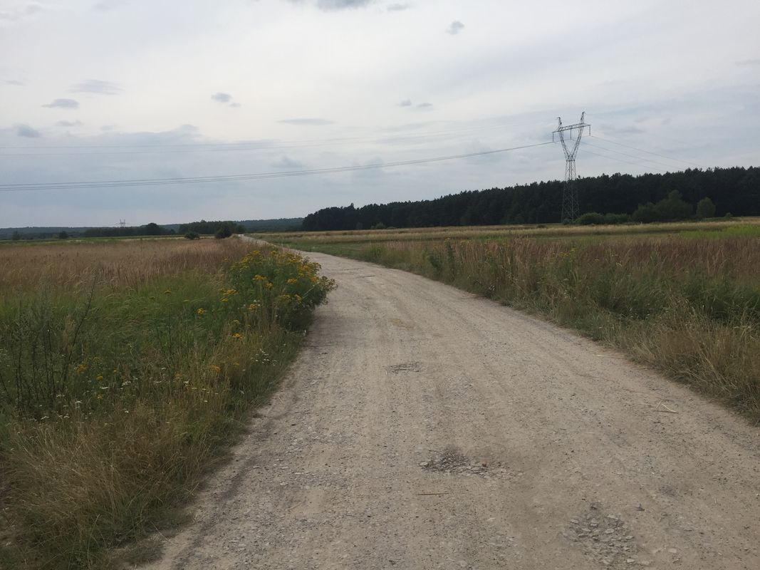 Tarnobrzeg - Mielec