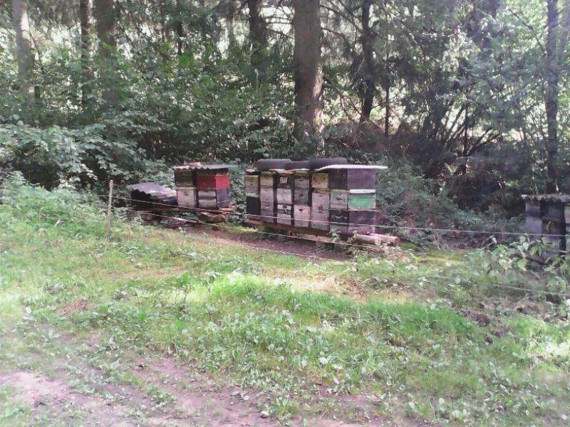 Hebe Bild 11 entlang der Bikemap-Route "Neue Tour" hervor