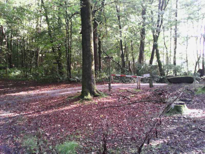 Hebe Bild 3 entlang der Bikemap-Route "Neue Tour" hervor